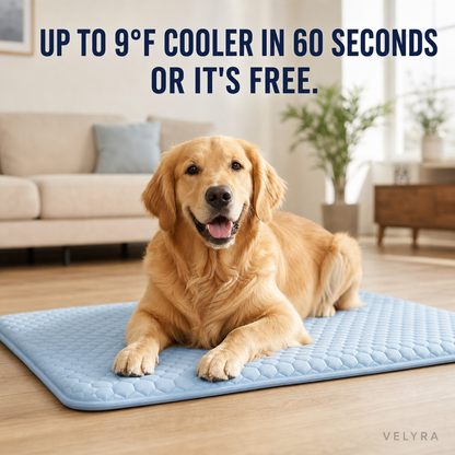 FrostMat 3.0 Self-Cooling Dog Mat